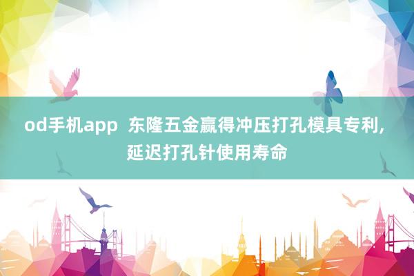od手机app  东隆五金赢得冲压打孔模具专利， 延迟打孔针使用寿命