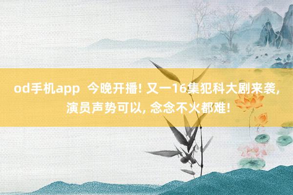 od手机app  今晚开播! 又一16集犯科大剧来袭， 演员声势可以， 念念不火都难!