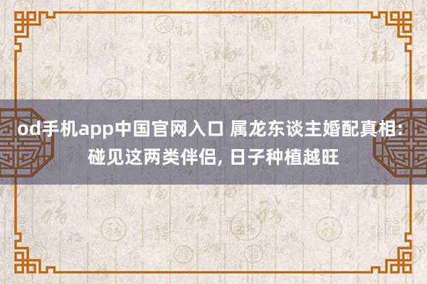 od手机app中国官网入口 属龙东谈主婚配真相: 碰见这两类伴侣， 日子种植越旺