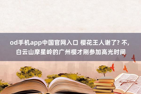 od手机app中国官网入口 樱花王人谢了? 不， 白云山摩星岭的广州樱才刚参加高光时间