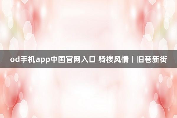 od手机app中国官网入口 骑楼风情丨旧巷新街