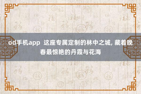 od手机app  这座专属定制的林中之城， 藏着晚春最惊艳的丹霞与花海