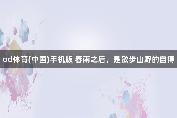 od体育(中国)手机版 春雨之后，是散步山野的自得