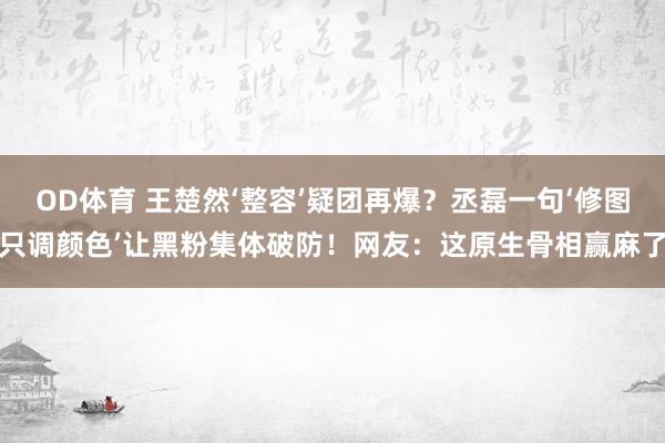 OD体育 王楚然‘整容’疑团再爆？丞磊一句‘修图只调颜色’让黑粉集体破防！网友：这原生骨相赢麻了