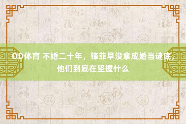 OD体育 不婚二十年，锋菲早没拿成婚当谜底，他们到底在坚握什么