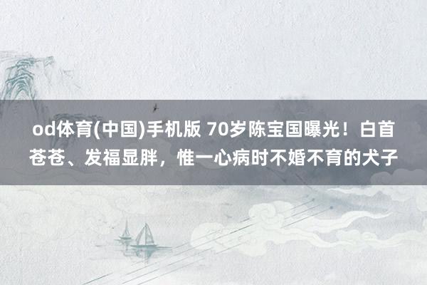 od体育(中国)手机版 70岁陈宝国曝光！白首苍苍、发福显胖，惟一心病时不婚不育的犬子