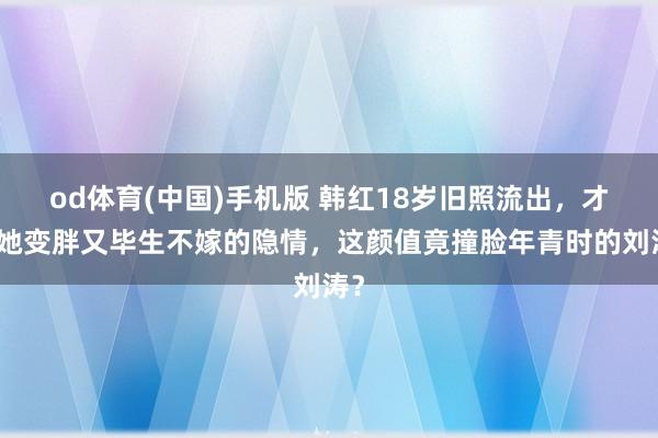 od体育(中国)手机版 韩红18岁旧照流出，才懂她变胖又毕生不嫁的隐情，这颜值竟撞脸年青时的刘涛？