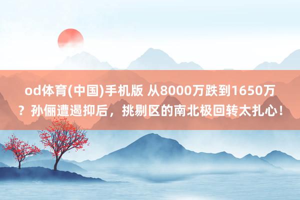 od体育(中国)手机版 从8000万跌到1650万？孙俪遭遏抑后，挑剔区的南北极回转太扎心！