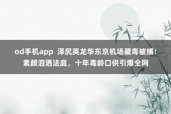 od手机app  泽尻英龙华东京机场藏毒被捕！素颜泪洒法庭，十年毒龄口供引爆全网