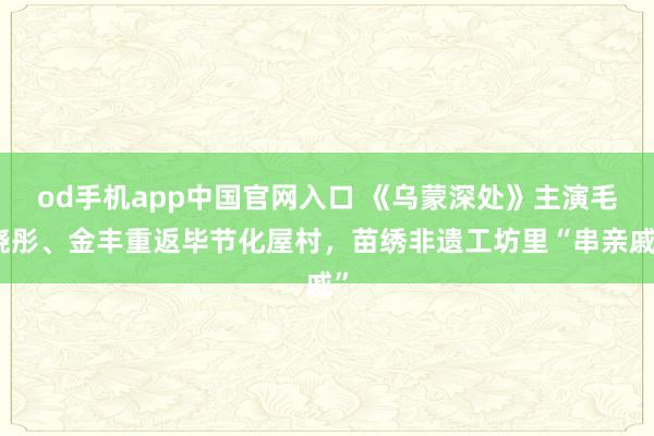 od手机app中国官网入口 《乌蒙深处》主演毛晓彤、金丰重返毕节化屋村，苗绣非遗工坊里“串亲戚”