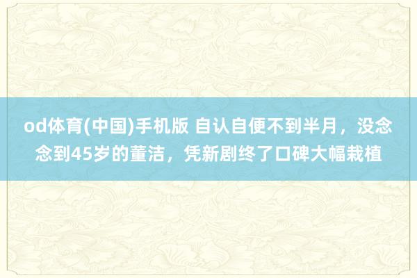 od体育(中国)手机版 自认自便不到半月，没念念到45岁的董洁，凭新剧终了口碑大幅栽植
