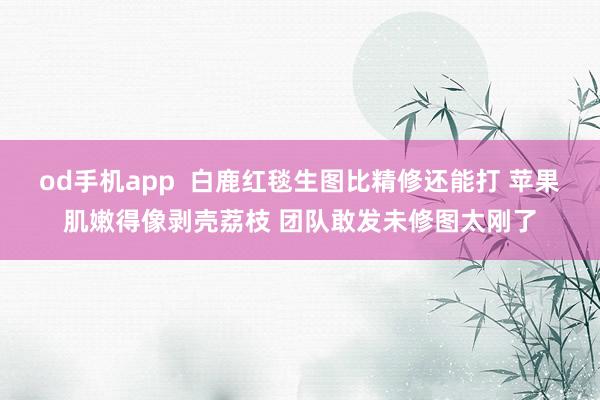 od手机app  白鹿红毯生图比精修还能打 苹果肌嫩得像剥壳荔枝 团队敢发未修图太刚了