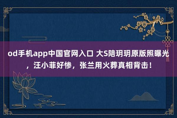 od手机app中国官网入口 大S陪玥玥原版照曝光，汪小菲好惨，张兰用火葬真相背击！