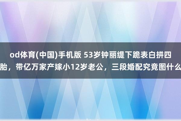 od体育(中国)手机版 53岁钟丽缇下跪表白拼四胎，带亿万家产嫁小12岁老公，三段婚配究竟图什么