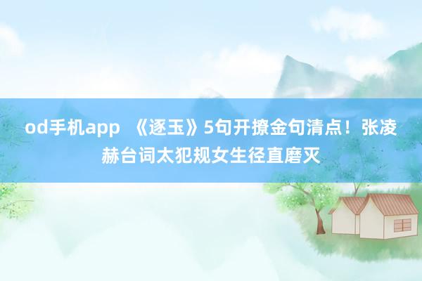 od手机app  《逐玉》5句开撩金句清点！张凌赫台词太犯规女生径直磨灭