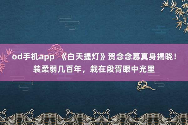od手机app  《白天提灯》贺念念慕真身揭晓！装柔弱几百年，栽在段胥眼中光里