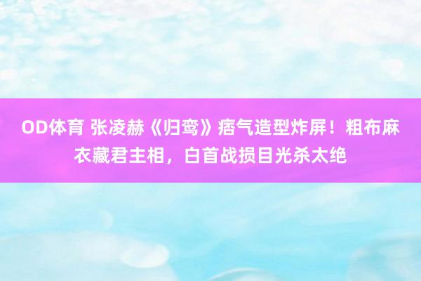 OD体育 张凌赫《归鸾》痞气造型炸屏！粗布麻衣藏君主相，白首战损目光杀太绝