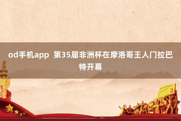 od手机app  第35届非洲杯在摩洛哥王人门拉巴特开幕