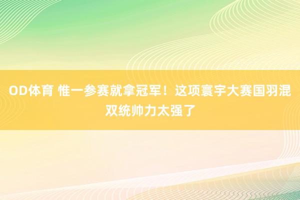 OD体育 惟一参赛就拿冠军！这项寰宇大赛国羽混双统帅力太强了