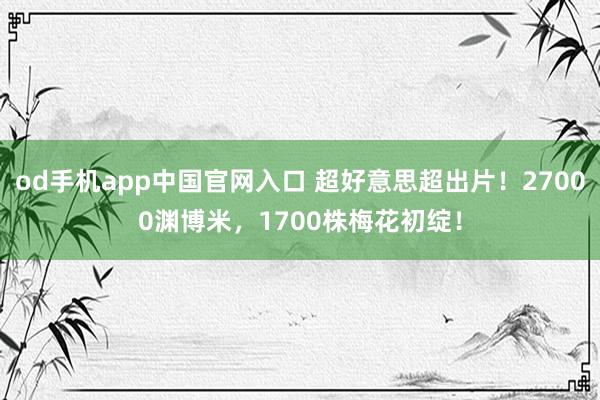 od手机app中国官网入口 超好意思超出片！27000渊博米，1700株梅花初绽！