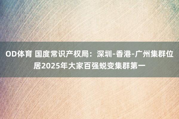 OD体育 国度常识产权局：深圳-香港-广州集群位居2025年大家百强蜕变集群第一