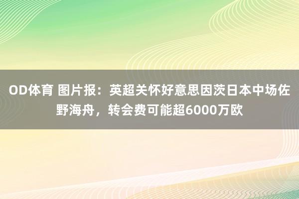 OD体育 图片报：英超关怀好意思因茨日本中场佐野海舟，转会费可能超6000万欧