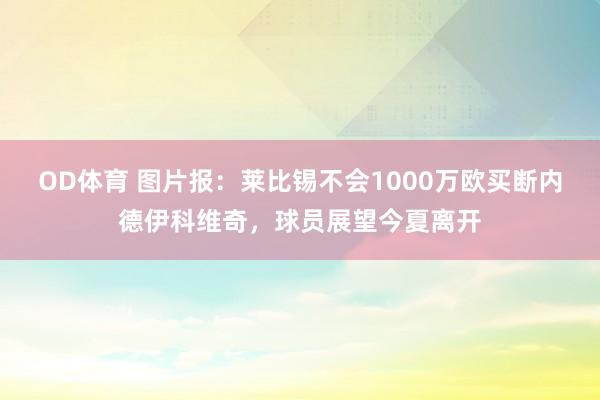 OD体育 图片报：莱比锡不会1000万欧买断内德伊科维奇，球员展望今夏离开