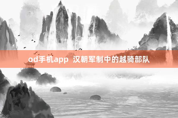 od手机app  汉朝军制中的越骑部队