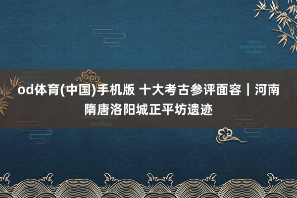 od体育(中国)手机版 十大考古参评面容｜河南隋唐洛阳城正平坊遗迹