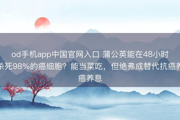 od手机app中国官网入口 蒲公英能在48小时内杀死98%的癌细胞？能当菜吃，但绝弗成替代抗癌养息