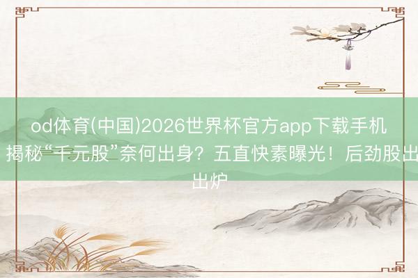 od体育(中国)2026世界杯官方app下载手机版 揭秘“千元股”奈何出身？五直快素曝光！后劲股出炉