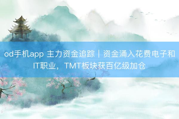 od手机app 主力资金追踪｜资金涌入花费电子和IT职业，TMT板块获百亿级加仓