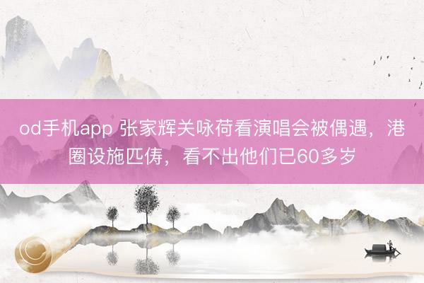od手机app 张家辉关咏荷看演唱会被偶遇，港圈设施匹俦，看不出他们已60多岁