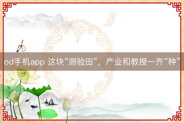 od手机app 这块“测验田”,产业和教授一齐“种”