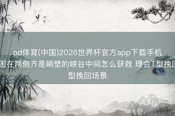 od体育(中国)2026世界杯官方app下载手机版 被困在两侧齐是峭壁的峡谷中间怎么获救 理会T型挽回场景