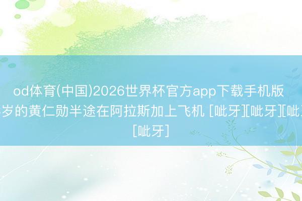 od体育(中国)2026世界杯官方app下载手机版 63岁的黄仁勋半途在阿拉斯加上飞机 [呲牙][呲牙][呲牙]