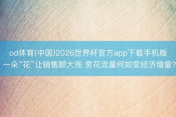 od体育(中国)2026世界杯官方app下载手机版 一朵“花”让销售额大涨 赏花流量何如变经济增量?