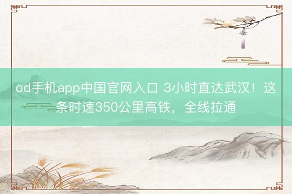 od手机app中国官网入口 3小时直达武汉!这条时速350公里高铁,全线拉通