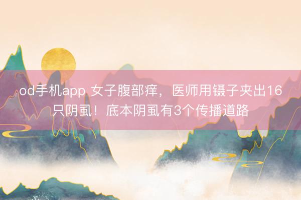 od手机app 女子腹部痒，医师用镊子夹出16只阴虱！底本阴虱有3个传播道路