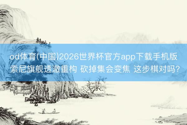 od体育(中国)2026世界杯官方app下载手机版 索尼旗舰透澈重构 砍掉集会变焦 这步棋对吗?