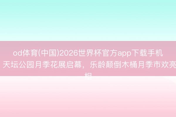 od体育(中国)2026世界杯官方app下载手机版 天坛公园月季花展启幕,乐龄颠倒木桶月季市欢亮相