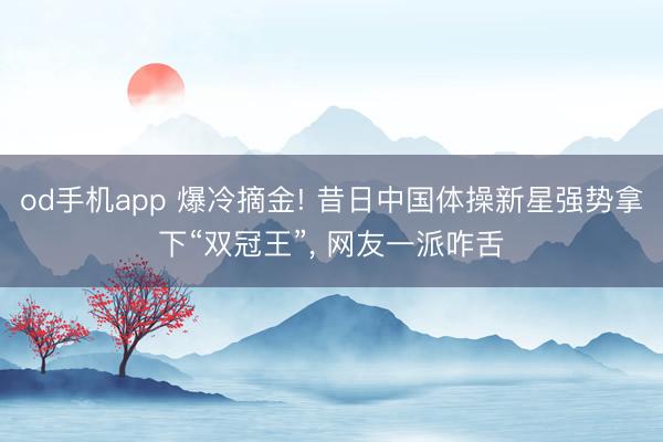 od手机app 爆冷摘金! 昔日中国体操新星强势拿下“双冠王”， 网友一派咋舌