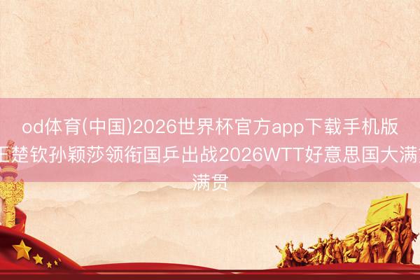 od体育(中国)2026世界杯官方app下载手机版 王楚钦孙