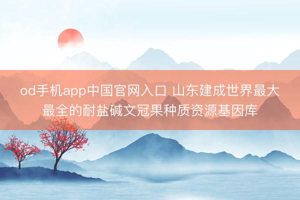 od手机app中国官网入口 山东建成世界最大最全的耐盐碱文冠果种质资源基因库