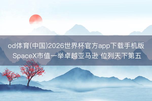 od体育(中国)2026世界杯官方app下载手机版 SpaceX市值一举卓越亚马逊 位列天下第五