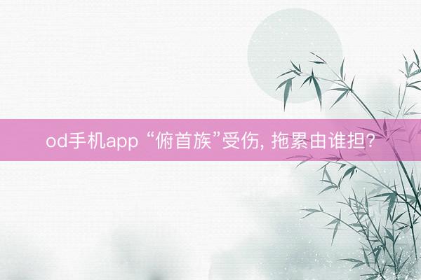 od手机app “俯首族”受伤, 拖累由谁担?