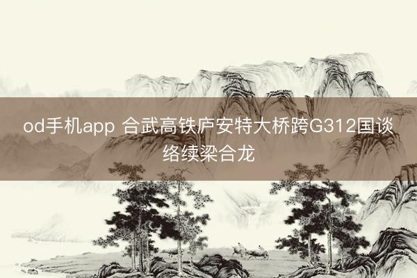 od手机app 合武高铁庐安特大桥跨G312国谈络续梁合龙